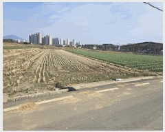  2025Ÿ31034 뱸 ޼   1244      ()