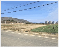  2025Ÿ31034 뱸 ޼   1244      ()