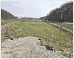  2025Ÿ31034 뱸 ޼   1244      ()