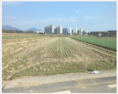  2025Ÿ31034 뱸 ޼   1244      ()