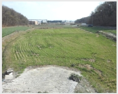  2025Ÿ31034 뱸 ޼   1244      ()