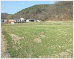  2025Ÿ31034 뱸 ޼   1244      ()