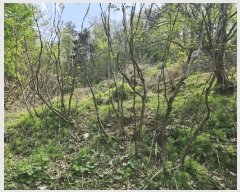  2025Ÿ��31099  �Ӿ߰��