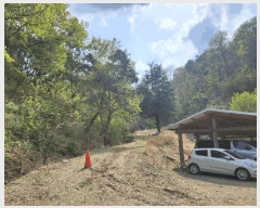  2025Ÿ��31099  �Ӿ߰��