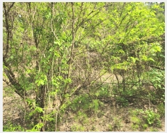  2025Ÿ��31099  �Ӿ߰��