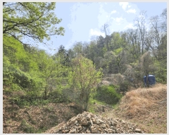  2025Ÿ��31099  �Ӿ߰��