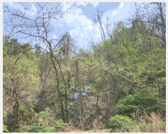  2025Ÿ��31099  �Ӿ߰��