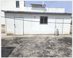  2025Ÿ31135 뱸 ޼ 굿 264-10       ٸü,󰡰