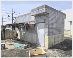  2025Ÿ31135 뱸 ޼ 굿 264-10       ٸü,󰡰