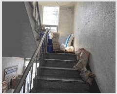  2025Ÿ31135 뱸 ޼ 굿 264-10       ٸü,󰡰