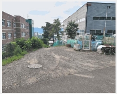  2025Ÿ��31147  ����Ʈ��������