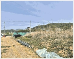  2025Ÿ31153  ֱ  긮 271-7      (1)