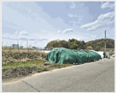  2025Ÿ31153  ֱ  긮 271-7      (1)