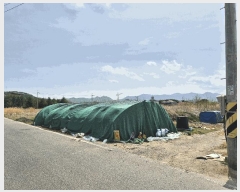  2025Ÿ31153  ֱ  긮 271-7      (1)