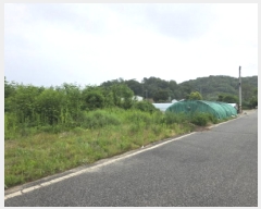  2025Ÿ31153  ֱ  긮 271-7      (1)