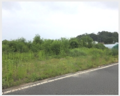  2025Ÿ31153  ֱ  긮 271-7      (1)