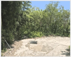  2025Ÿ��31183 ��� ���ֱ� ������ �뼺�� 438      ����(����)���