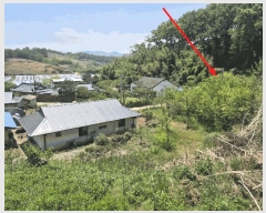  2025Ÿ��31183 ��� ���ֱ� ������ �뼺�� 438      ����(����)���