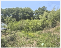  2025Ÿ��31183 ��� ���ֱ� ������ �뼺�� 438      ����(����)���