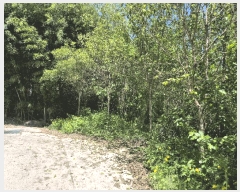  2025Ÿ��31183 ��� ���ֱ� ������ �뼺�� 438      ����(����)���