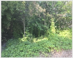  2025Ÿ��31183 ��� ���ֱ� ������ �뼺�� 438      ����(����)���