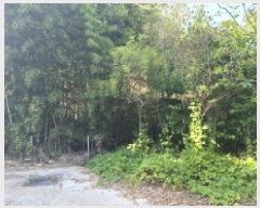  2025Ÿ��31183 ��� ���ֱ� ������ �뼺�� 438      ����(����)���