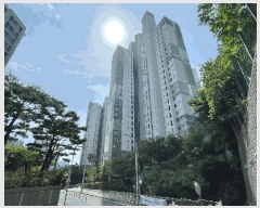  2025Ÿ��31219  ����Ʈ���