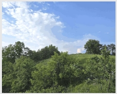  2025Ÿ��31249 �뱸 �޼��� ������ ��ܸ� 332-1      ����(�Ӿ�)���