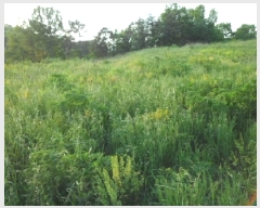  2025Ÿ��31249 �뱸 �޼��� ������ ��ܸ� 332-1      ����(�Ӿ�)���