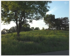  2025Ÿ��31249 �뱸 �޼��� ������ ��ܸ� 332-1      ����(�Ӿ�)���