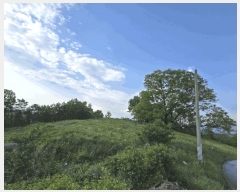  2025Ÿ��31249 �뱸 �޼��� ������ ��ܸ� 332-1      ����(�Ӿ�)���