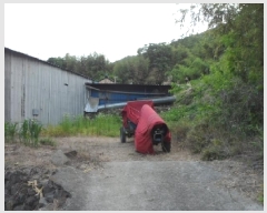  2025Ÿ��31267 �뱸 �޼��� ��ǳ�� ���긮 961      ����(����)���