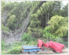  2025Ÿ��31267 �뱸 �޼��� ��ǳ�� ���긮 961      ����(����)���