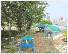  2025Ÿ��31285  �������