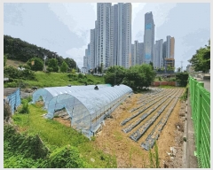  2025Ÿ��31285  �������