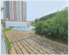  2025Ÿ��31285  �������