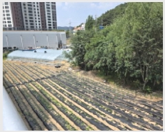  2025Ÿ��31285  �������