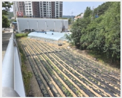  2025Ÿ��31285  �������