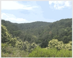  2025Ÿ��31322  �Ӿ߰��