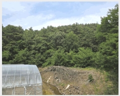  2025Ÿ��31322  �Ӿ߰��