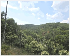  2025Ÿ��31322  �Ӿ߰��