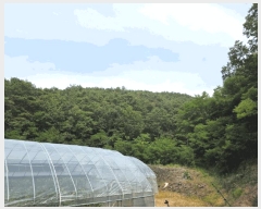  2025Ÿ��31322  �Ӿ߰��