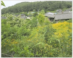  2025Ÿ��31322  �Ӿ߰��