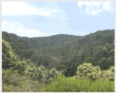  2025Ÿ��31322  �Ӿ߰��