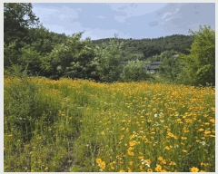  2025Ÿ��31322  �Ӿ߰��