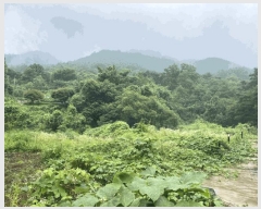  2025Ÿ��31460 �뱸 �޼��� ��â�� ��ϸ� 412      ����(��)���