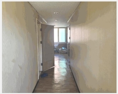  2025Ÿ��31502 �뱸 �޼��� �ٻ��� ���縮 221      ������