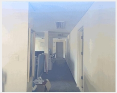  2025Ÿ��31502 �뱸 �޼��� �ٻ��� ���縮 221      ������