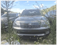  2025Ÿ31688 뱸  󸮵 295 ġ, ä ڻ    