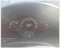  2025Ÿ31688 뱸  󸮵 295 ġ, ä ڻ    